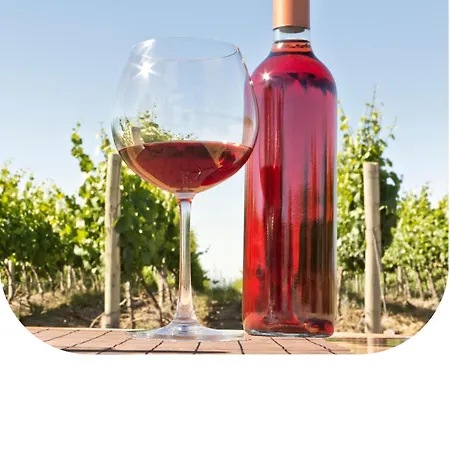 Szálloda Far Life 3*