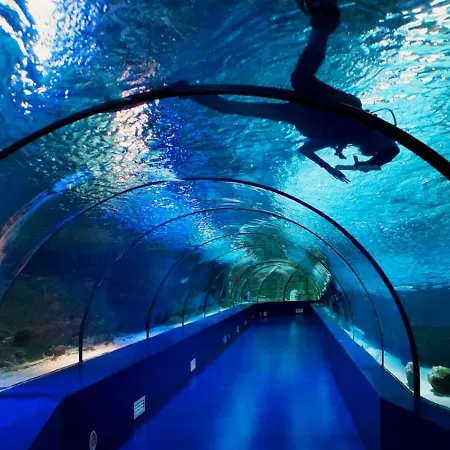 Far Life Antalya